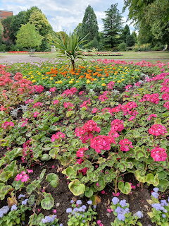 Colorful flower beds with pink begonias and orange marigolds in a public park with trees