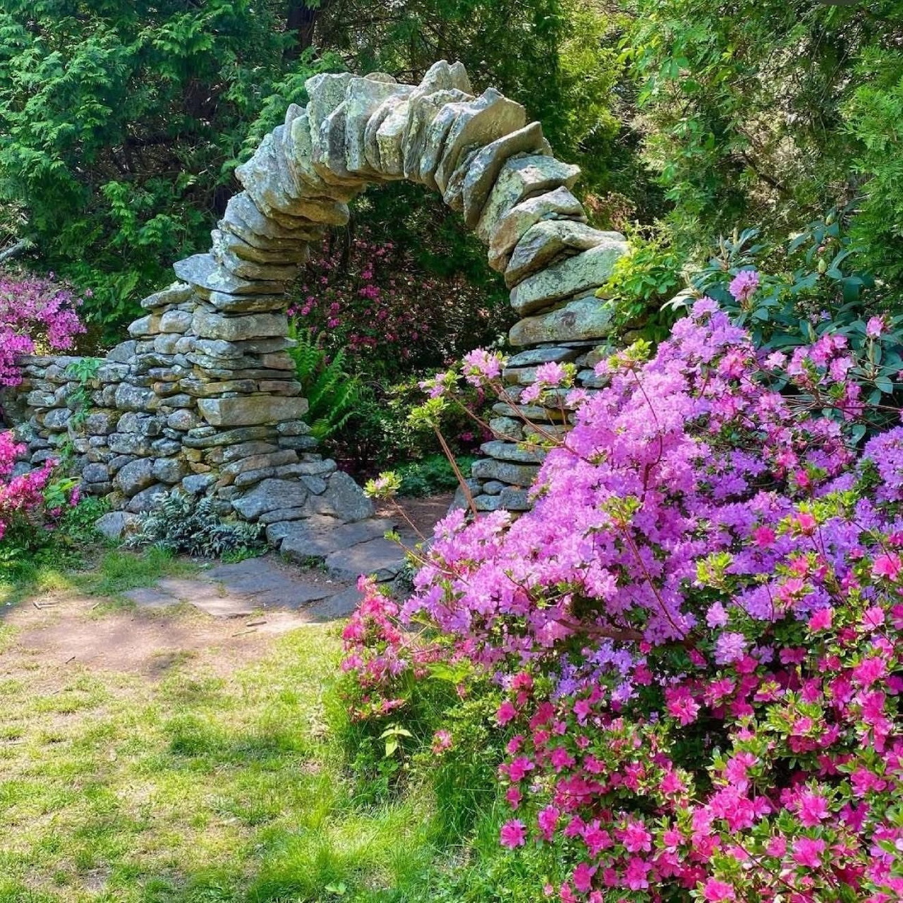 Stone archway covered in greenery with pink flowering bushes in a garden setting