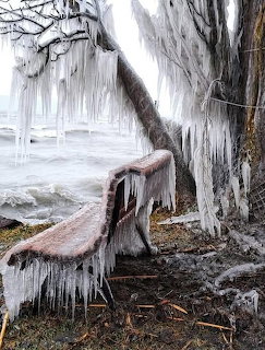Tree and wooden bench heavily coated in icicles beside a frozen lake shore