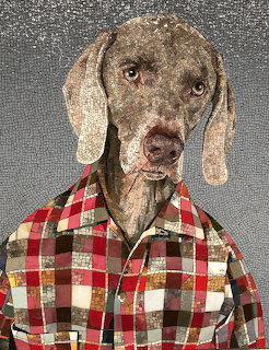 Weimaraner Dog in Plaid Shirt