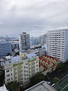 Elevated cityscape view showing buildings, red rooftops, and a harbor under cloudy skies in New Zealand