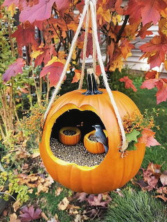 Hanging Pumpkin Feeder