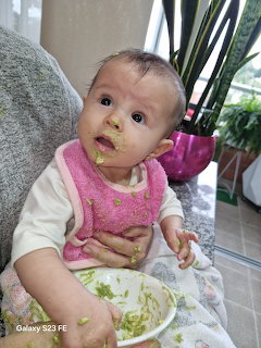 Baby in a pink bib eating green avocado mash from a bowl indoors