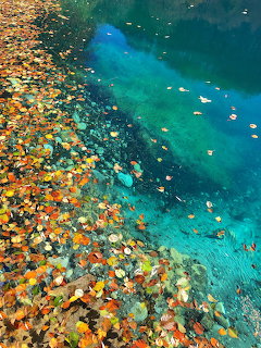 Colorful fallen autumn leaves on the shore of a clear turquoise lake with visible underwater rocks