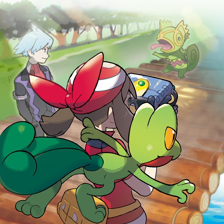 Pokémon Forest Battle Scene