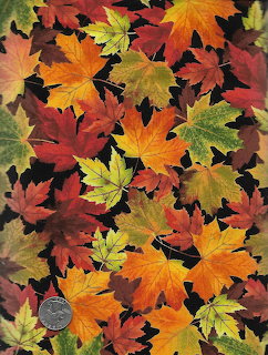 Colorful autumn maple leaves covering ground in red, orange, yellow, and green hues