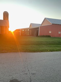 Sunset between red farm buildings and a silo by a grassy field