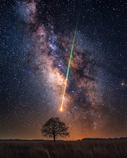Milky Way arching over silhouetted tree with meteor streak in starry night sky