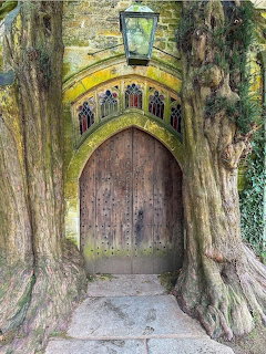 Old wooden door built into a large tree trunk with Gothic arch detail and ivy-covered stone walls