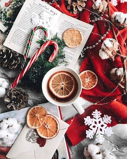 Festive flat lay with cocoa, candy canes, dried oranges, pinecones, cotton, and red plaid cloth