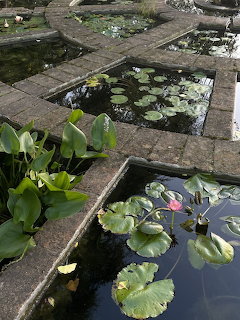 Stone lily ponds with green water lily pads and a pink flower at Boboli Gardens, Florence