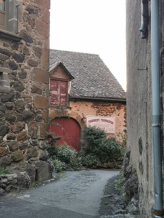 Narrow cobblestone alley between old stone buildings with a red arched door and shrubs.