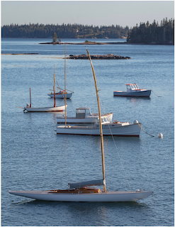 Several sailboats and small boats anchored on calm blue water near a distant tree-lined shore.
