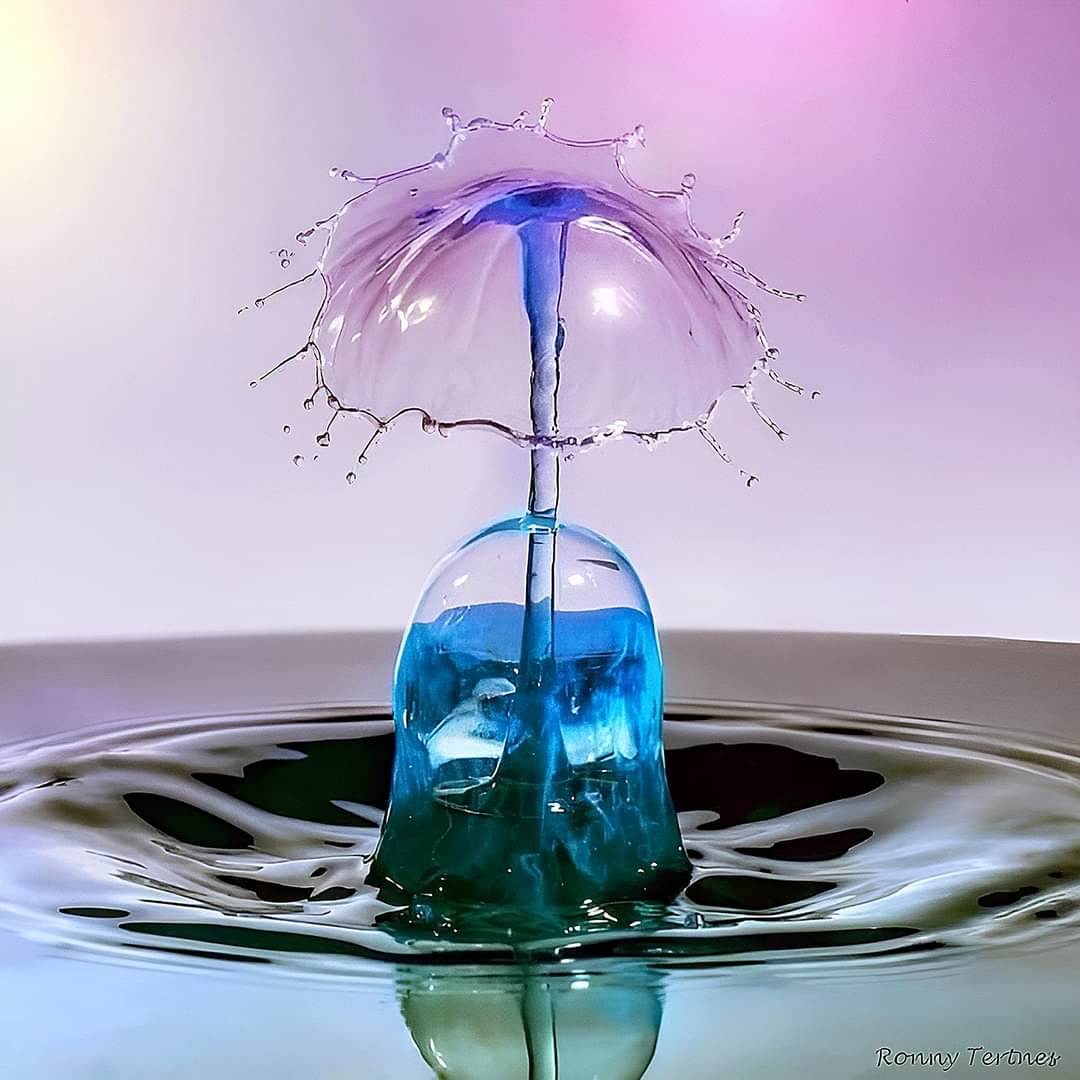 Purple and blue water droplet splash creating mushroom shape with ripples on reflective water surface