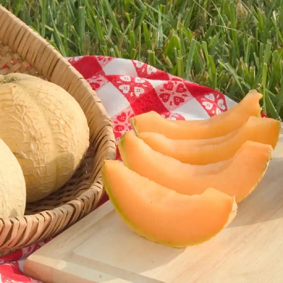 Cantaloupe slices on a cutting board next to melon halves in a basket outdoors
