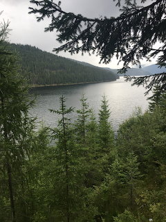 Lake surrounded by pine-covered mountains viewed through conifer branches on a cloudy day