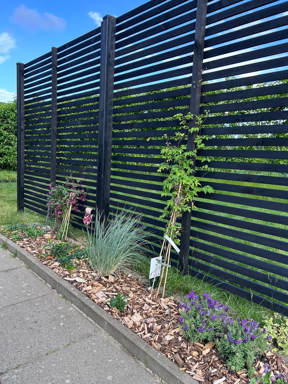 Modern black horizontal slat fence with ornamental plants and gravel landscaping in sunny garden