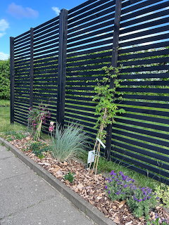 Modern Garden Fence with Plants