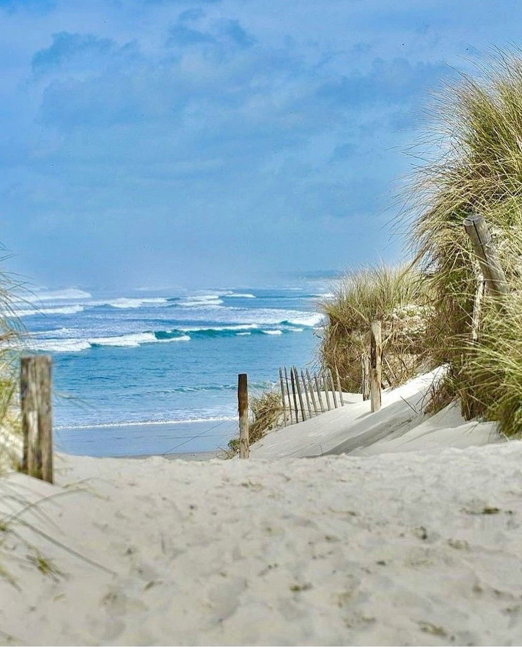 Sandy path through dune grass with wooden fence leading to ocean beach