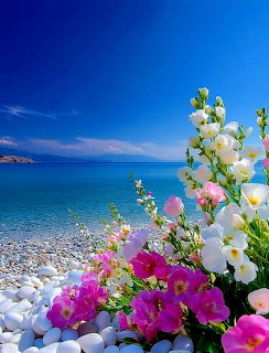 Flowers on Peble Beach