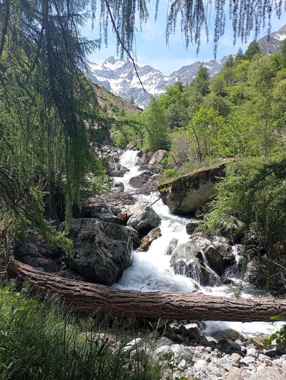 Mountain waterfall rushing over rocks in an alpine valley with evergreen trees and snowy peaks