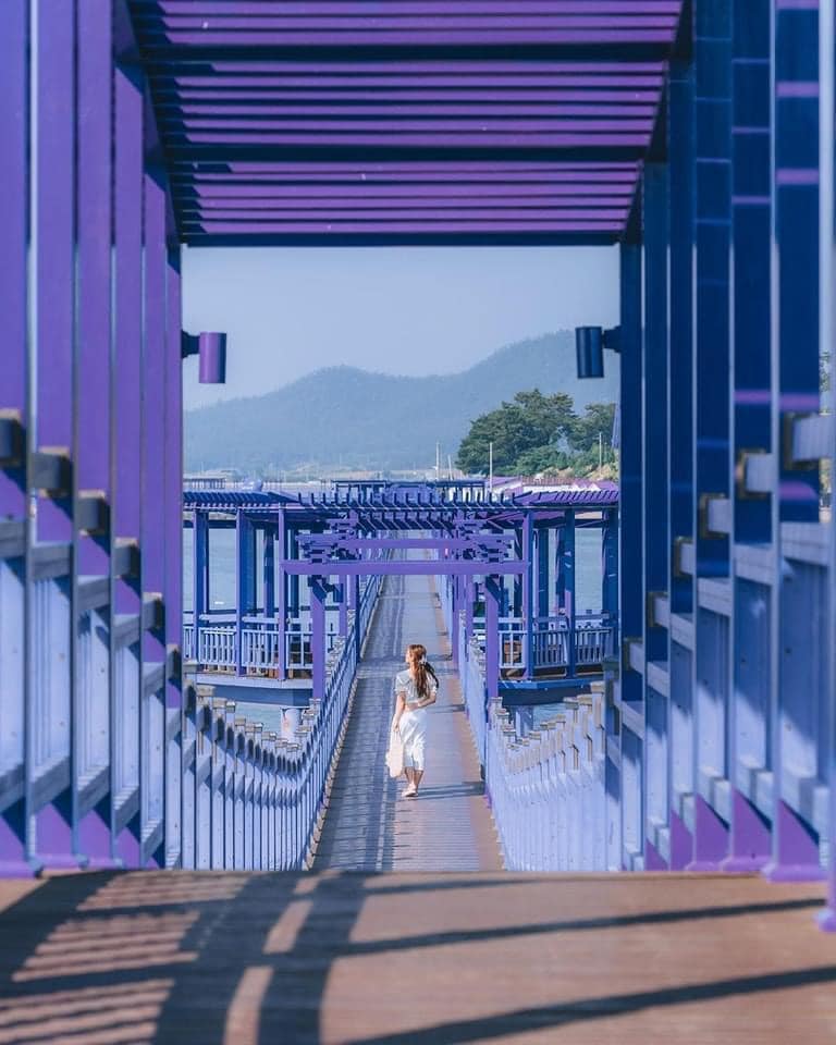Purple Island Boardwalk Korea