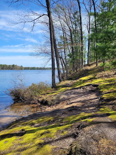 Lost Lake Michigan Shoreline