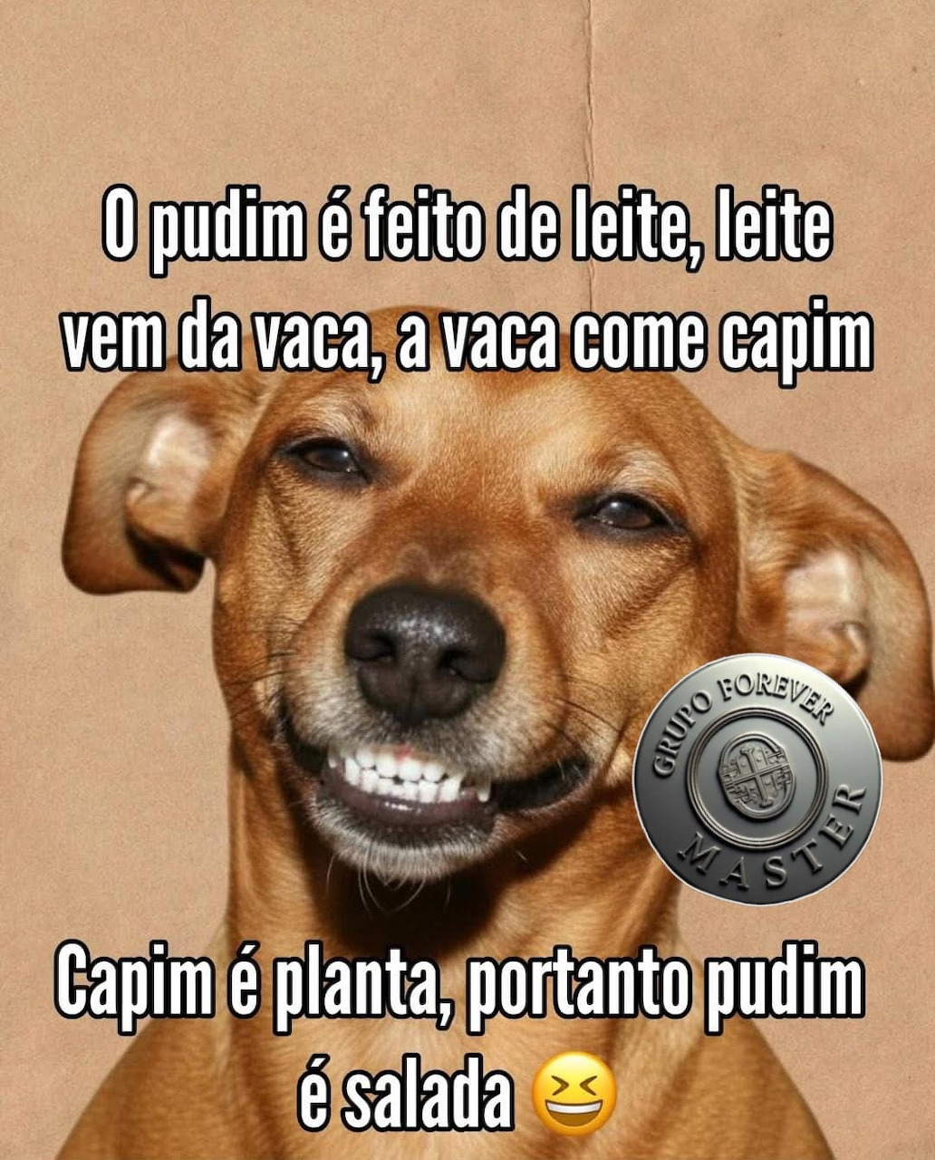 Brown dog with wide smile showing teeth, Portuguese text meme overlay