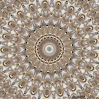 Ornate Gold Mandala
