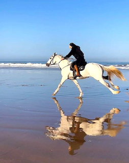 Horseback Riding on Beach