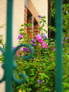 Garden Flowers Through Green Gate