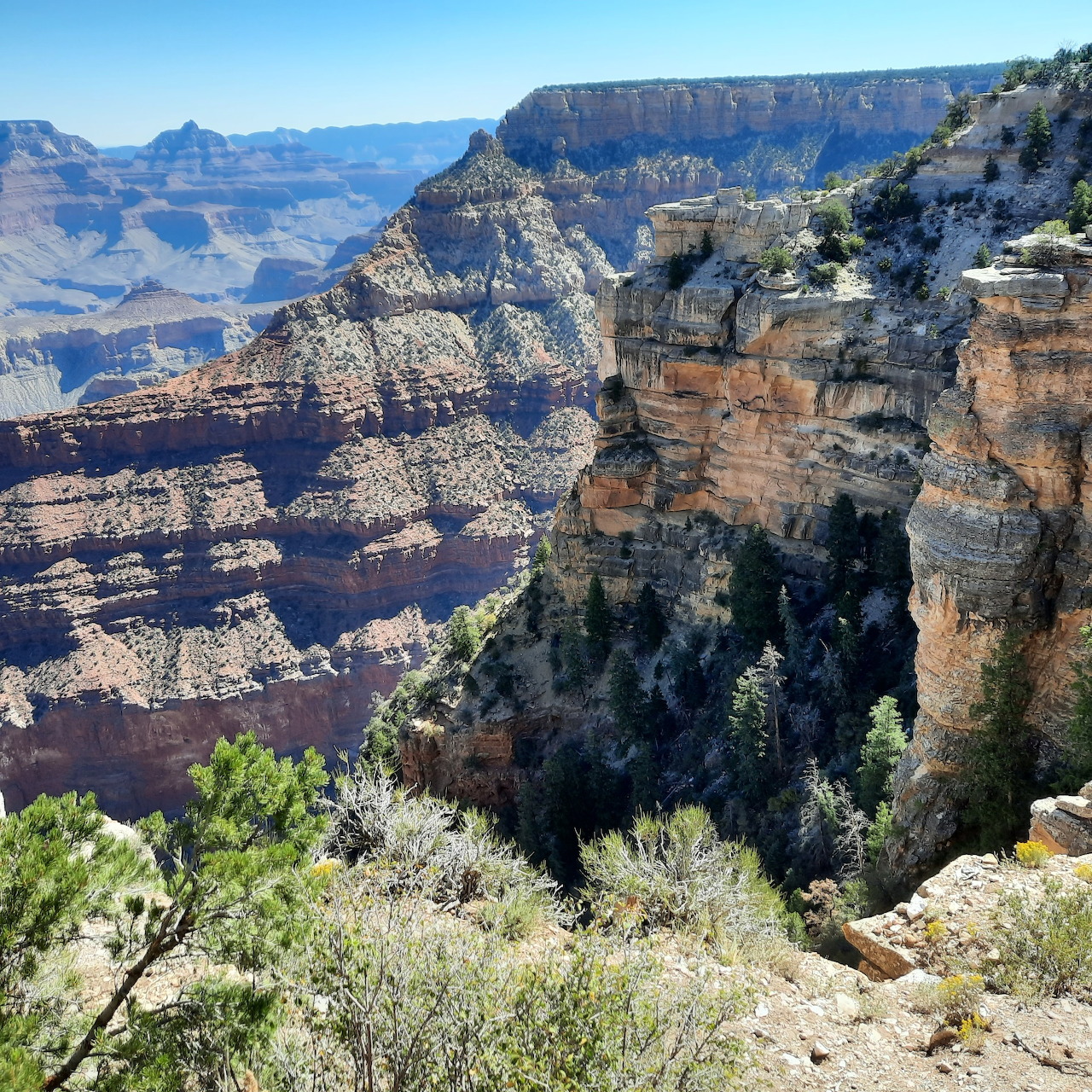 Grand Canyon