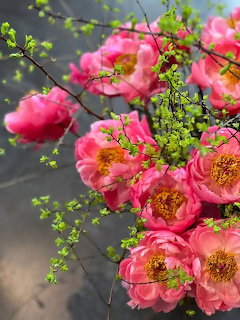 Pink Peonies Bouquet