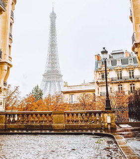 Eiffel Tower framed by Paris buildings with wet pavement and autumn trees