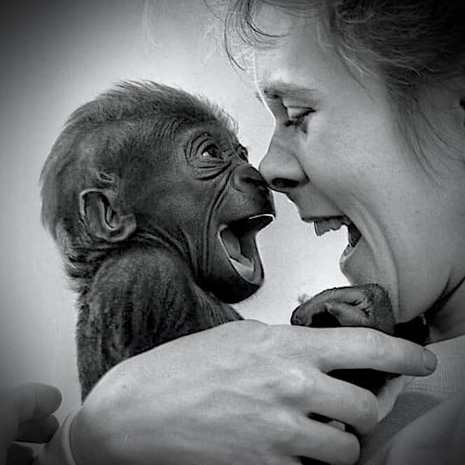 Woman and Baby Gorilla