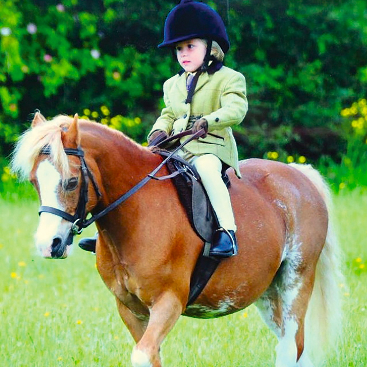 Young girl in riding helmet and jacket sitting on a brown pony in a grassy field