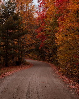 Winding dirt road through a colorful autumn forest with red and orange foliage