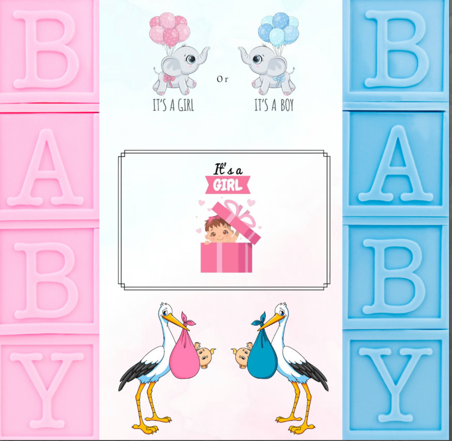 Baby Gender Reveal