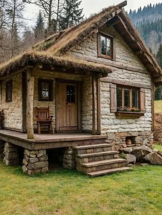 Small rustic log cabin with moss roof and stone base in mountain forest clearing