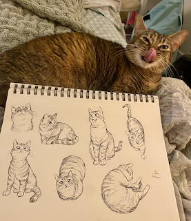 Cat Posing With Sketches