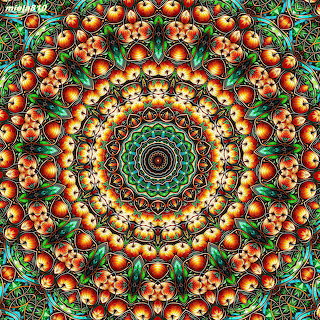 Ornate Mandala Pattern