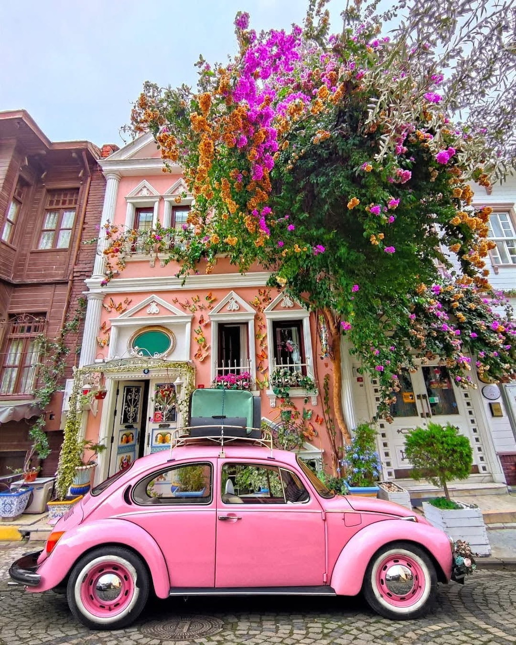 Jigsaw puzzle image