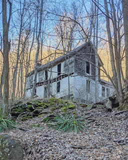 Abandoned white house with missing windows stands among leafless trees on a rocky, leaf-covered forest hillside