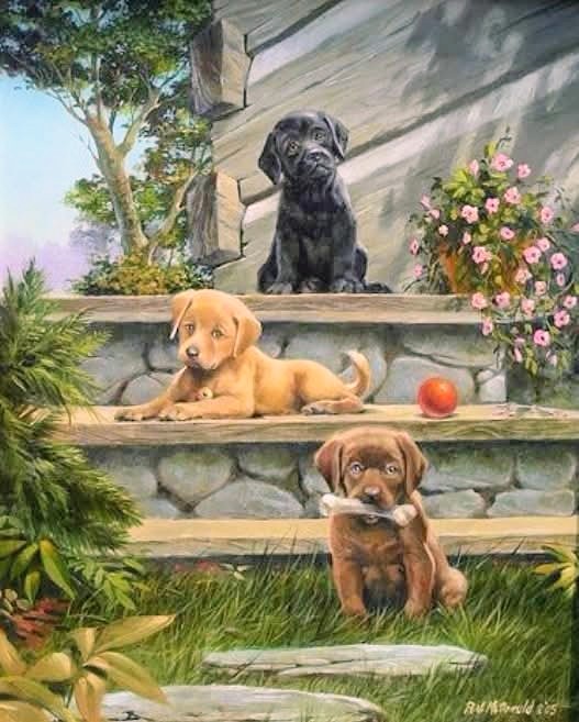 Painting of three Labrador Retriever puppies on stone steps with flowers and a red ball