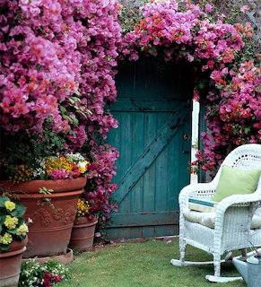 Teal wooden door surrounded by cascading pink bougainvillea blooms with garden furniture and potted plants