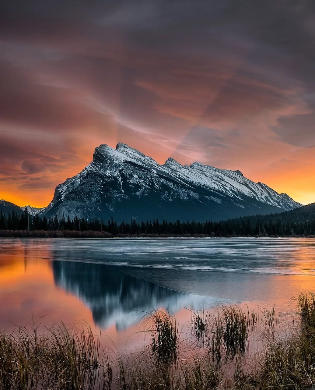 Snowy mountain peak at sunset reflected in a still lake with grasses in foreground