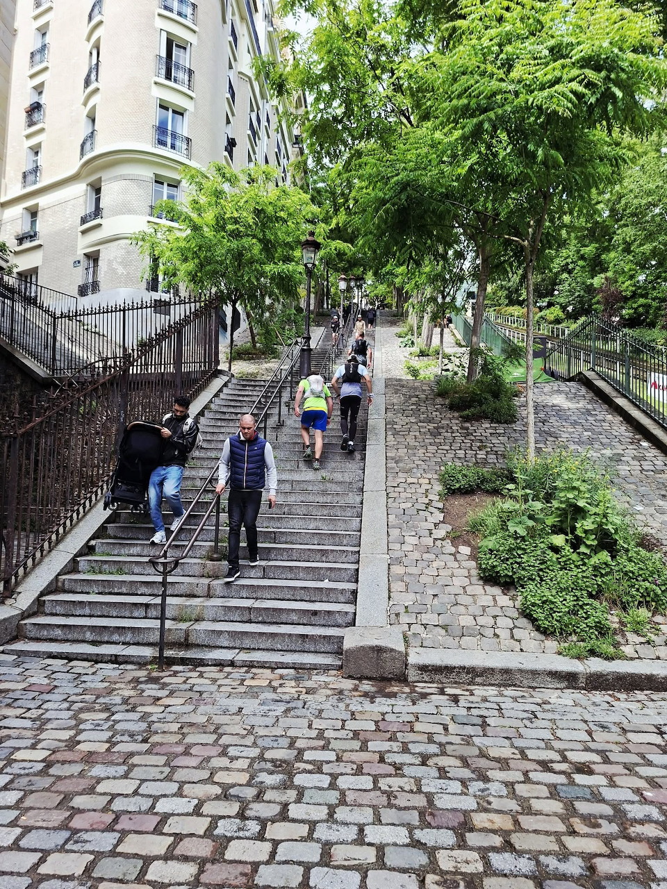 People walking on stone stairs and a ramp beside trees on a cobblestone city street