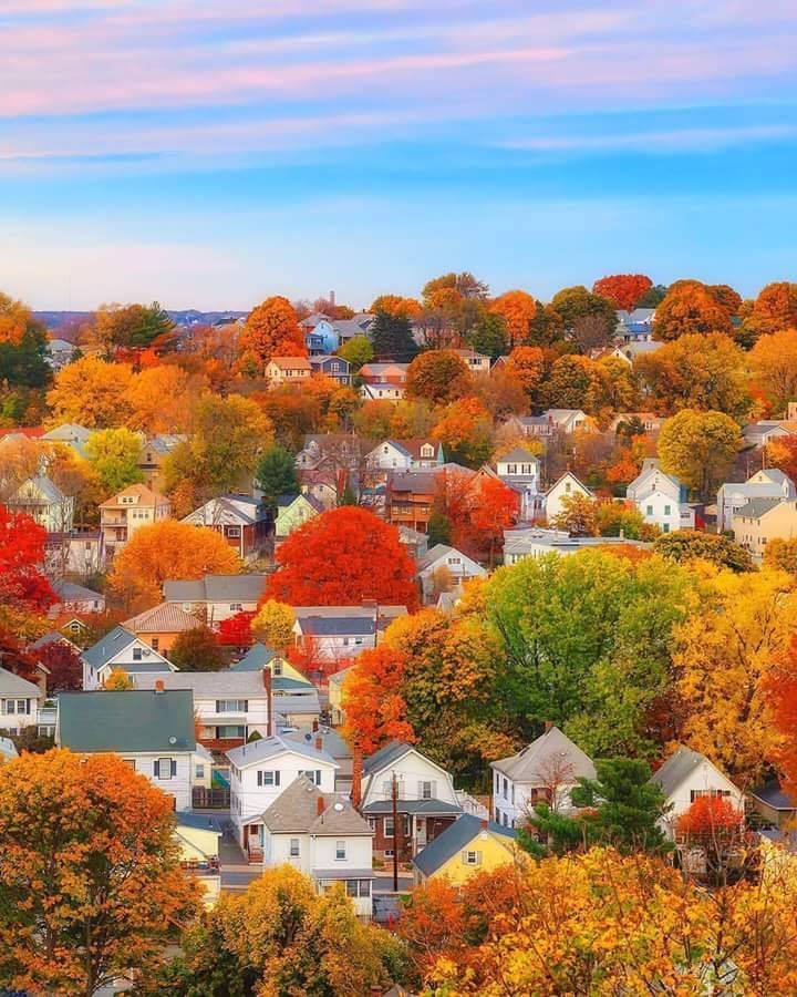 Aerial view of Boston neighborhood with colorful autumn foliage and houses under a blue sky