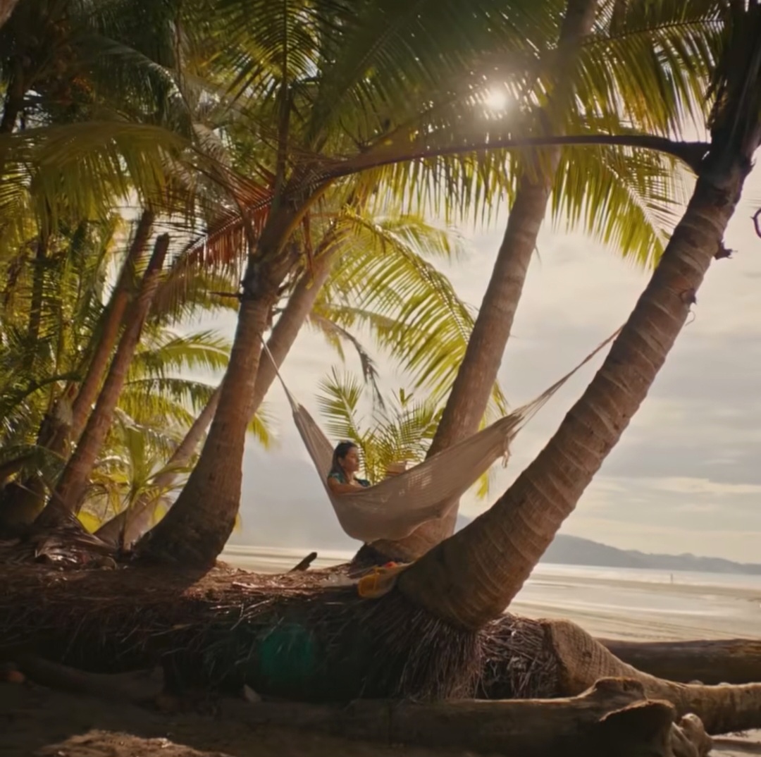 Person resting in a hammock under palm trees beside a tropical beach at sunset