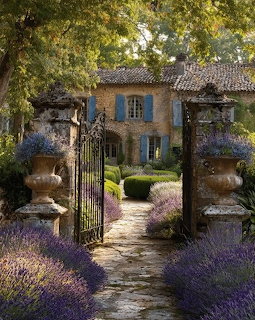 Open iron gate leading to a French country house surrounded by blooming lavender beds